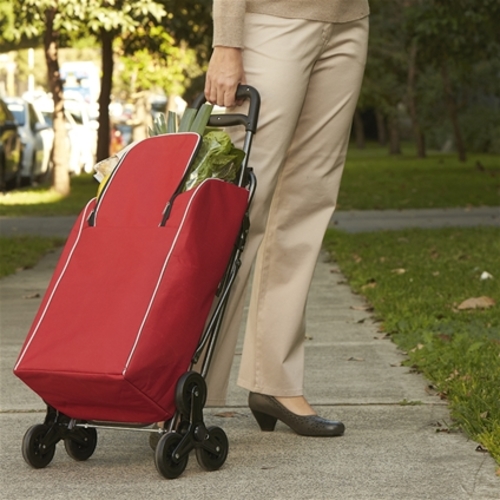 Insulated Shopping Trolley/Seat Independent Living Centres Australia