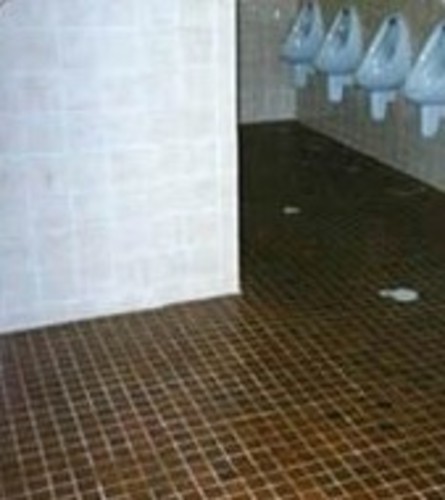 Floorsafe Australia Bath Shower Safe Independent Living