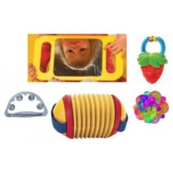 13884 pr14803%20activity%20arch%20sensory%20kit