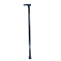 2272 pr09191 %20walking%20stick2