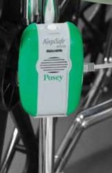 23915 posey keepsafe deluxe