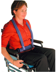 27203 ta toilet access sling