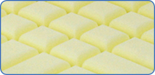 29220 memory plus insert 1 231175