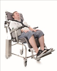 29302 tilt and cradle electric