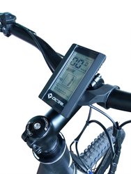 33853 img2360 2048x2048