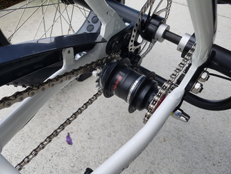 33879 whippa white 5 1