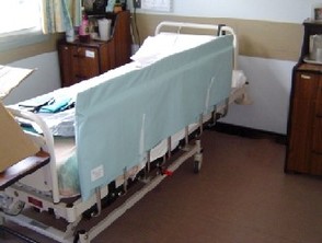 10198 pr07339%20bed%20rail%20protector.