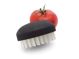 10421 pr00582%20vegetable%20brush