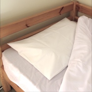 10659 pr11816%20pillow%20protectors.