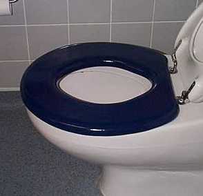 Padded Toilet Seat.