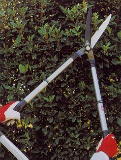 13089 pr06405%20garden%20telescopic%20shears