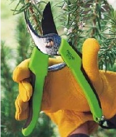 Freund Pruning Shear