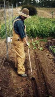 13293 pr155585%20gundaroo%20hoe