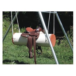 13874 pr14797%20tfh%20special%20needs%20toys%20bolster%20swing
