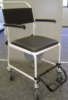 Ansa Mobile Shower Chair
