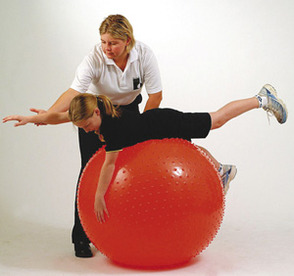 16277 pr15269%20windmill%20sensory%20therapy%20ball