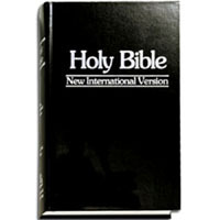16814 pro%202902%20large%20print%20bible