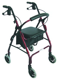 17039 pr07586%20nova%20pacer