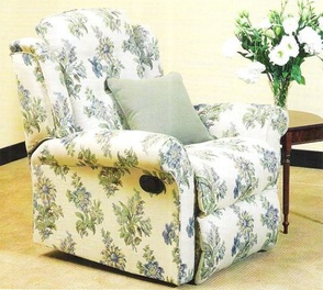 17135 pr17353%20torrance%20&%20mckenna%20virginia%20electric%20recliner