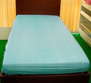 1715 pr15145mattressprotector