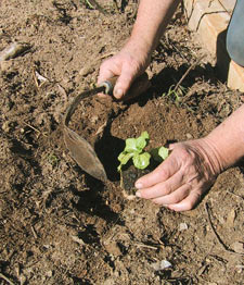 PR03057 Standard Model