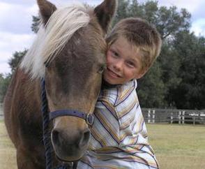 17535 pr03251%20adapted%20horse%20riding%20equipment