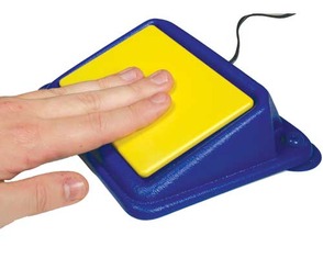 Enabling Devices Plate Switch