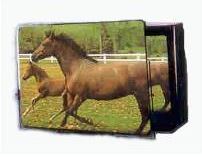 19106 pr17956%20tv%20screen%20magnifier