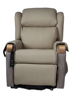 19822 pr13504%20havenlane%20cagney%20lounge%20chair