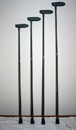 2227 pr04932 walking%20stick