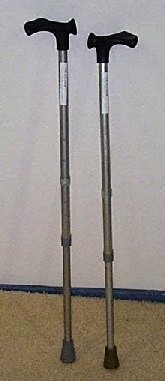 2367 pr02482%20 %20walking%20stick