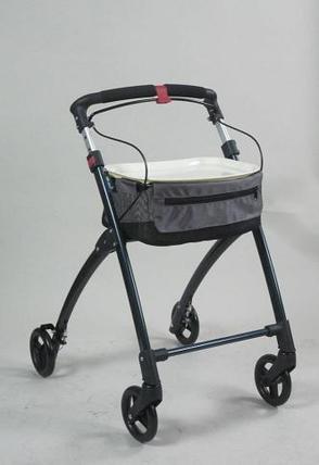 24113 pr19930 9290 ellipse in door walker