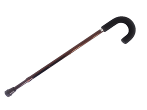 25729 walking stick3 