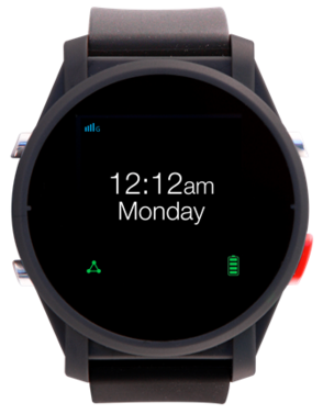 Find-me Carers Watch