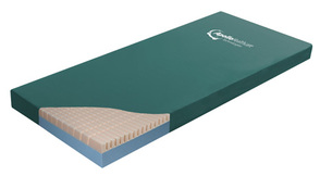 29134 morpheus 886186