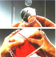 Eschenbach Maxi-Plus Magnifier