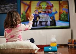 Birde Player working with Smart TV