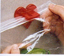 3898 pr13591%20 %20bag%20sealer