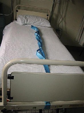 4095 pr05691 patient%20handling%20bed%20ladder