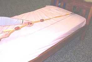 Tiger Tail Assist Up