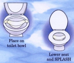 Bidet Insert for toilet