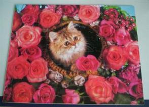 6518 pr10956 wisdom%20activities%20range%20of%20jigsaw%20puzzles