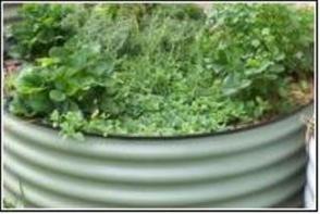 7140 pr16400 veg%20bed%201